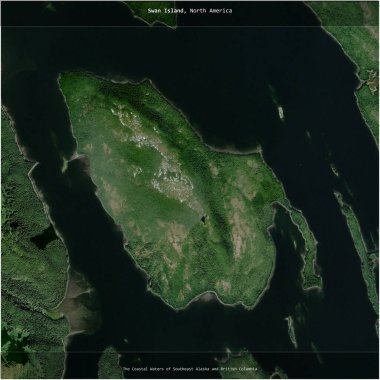 Swan Island in the The Coastal Waters of Southeast Alaska and British Columbia, belonging to United States, cropped to square on a satellite image taken in August 31, 2021 clipart