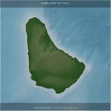 Karayip Denizi 'ndeki Barbados Adası, Barbados' a ait, renkli bir yükseklik haritasında kare şeklinde kesilmiş.