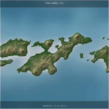 Endonezya 'ya ait Savu Denizi' nde bulunan Pulau Lembata renkli bir yükseklik haritasında kare şeklinde kesilmiş.