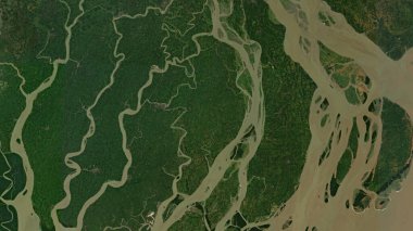 17 Kasım 2021 'de Bengal Körfezi' ndeki Char Diara Adası 'nda bir uydu görüntüsü çekildi.