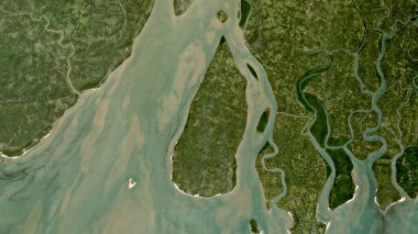 Bengal Körfezi 'ndeki Sagar Adası. 10 Kasım 2023' te çekilmiş bir uydu görüntüsü.