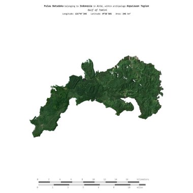 Endonezya Körfezi 'ndeki Pulau Batudaka, 19 Temmuz 2018' de çekilmiş bir uydu görüntüsüyle izole edilmiştir.