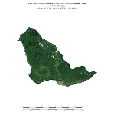 Endonezya 'ya ait Güney Pasifik Okyanusu' ndaki Pulau Biak, 11 Nisan 2020 'de çekilmiş bir uydu görüntüsüyle izole edildi.