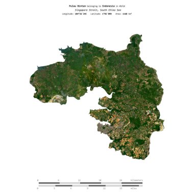 Endonezya 'ya ait Güney Çin Denizi' ndeki Pulau Bintan, 13 Ağustos 2020 'de çekilmiş bir uydu görüntüsüyle izole edildi.