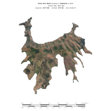 Endonezya 'ya ait Savu Denizi' ndeki Pulau Gili Banta, 10 Mart 2023 'te çekilmiş bir uydu görüntüsüyle izole edilmiştir.