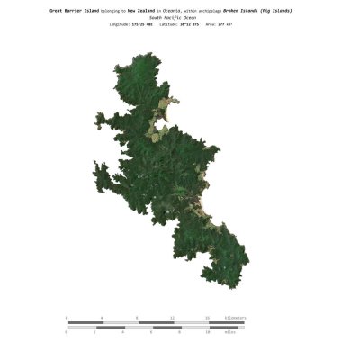 Güney Pasifik Okyanusu 'ndaki Büyük Bariyer Adası, Yeni Zelanda' ya ait. 24 Ocak 2020 'de çekilen uydu görüntüsü ile izole edilmiş.