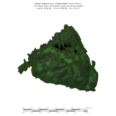 Amerika Birleşik Devletleri 'ne ait Güneydoğu Alaska ve British Columbia' nın Sahil Suları 'ndaki Hassler Adası, 25 Temmuz 2018' de çekilmiş bir uydu görüntüsüyle izole edilmiştir.