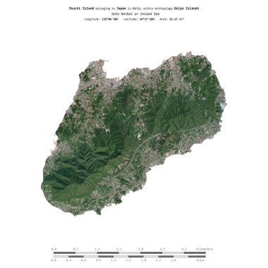 Japonya 'ya ait Seto Naikai veya İç Denizi' ndeki Ikuchi Adası, 5 Kasım 2019 'da çekilmiş bir uydu görüntüsüyle izole edilmiştir.