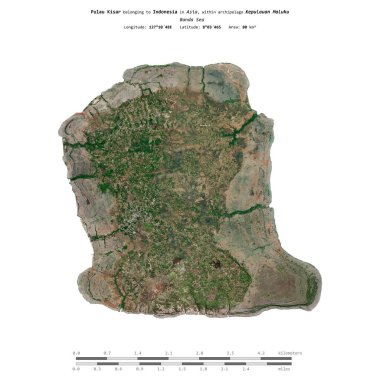 Endonezya 'ya ait Banda Denizi' ndeki Pulau Kisar, 13 Ağustos 2020 'de çekilmiş bir uydu görüntüsüyle izole edildi.