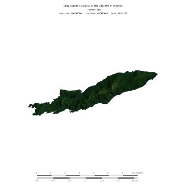 Tasman Denizi 'nde bulunan ve Yeni Zelanda' ya ait olan Long Island, 5 Nisan 2019 'da çekilmiş bir uydu görüntüsüyle izole edilmiştir.