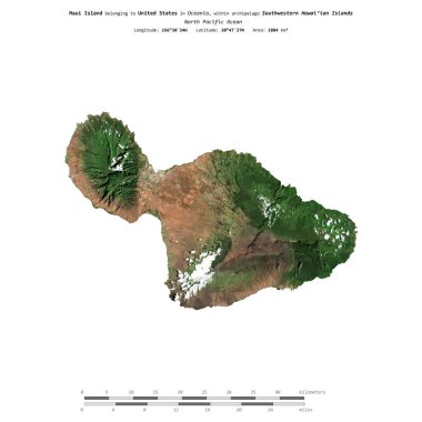 Amerika Birleşik Devletleri 'ne ait Kuzey Pasifik Okyanusu' ndaki Maui Adası, 14 Temmuz 2023 'te çekilmiş bir uydu görüntüsüyle izole edilmiştir.