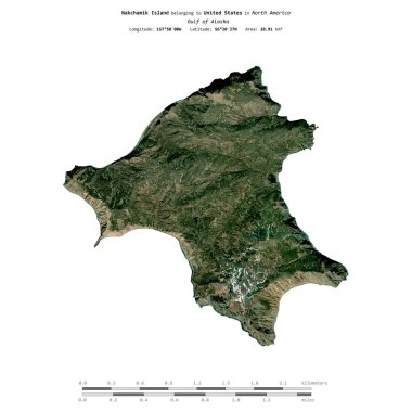 Amerika Birleşik Devletleri 'ne ait Alaska Körfezi' ndeki Nakchamik Adası 3 Temmuz 2019 'da çekilmiş uydu görüntüsüyle izole edilmiştir.