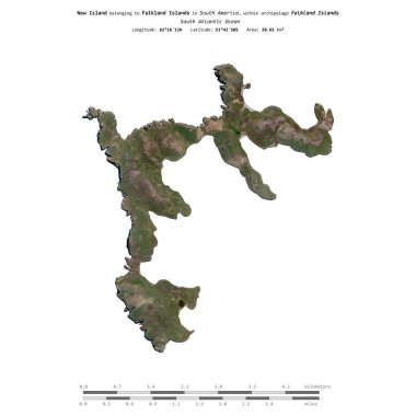 Falkland Adaları 'na ait olan Güney Atlantik Okyanusu' ndaki New Island, 9 Şubat 2021 'de çekilmiş bir uydu görüntüsüyle izole edilmiştir.
