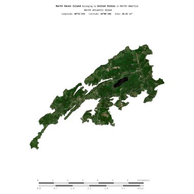 Birleşik Devletler 'e ait Kuzey Atlantik Okyanusu' ndaki Kuzey Haven Adası 18 Haziran 2021 'de çekilmiş uydu görüntüsüyle izole edilmiştir.