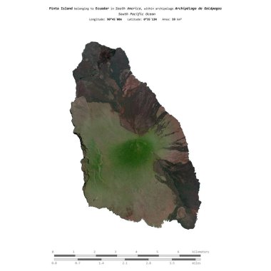 Ekvador 'a ait Güney Pasifik Okyanusu' ndaki Pinta Adası 17 Mart 2020 'de çekilmiş uydu görüntüsüyle izole edilmiştir.