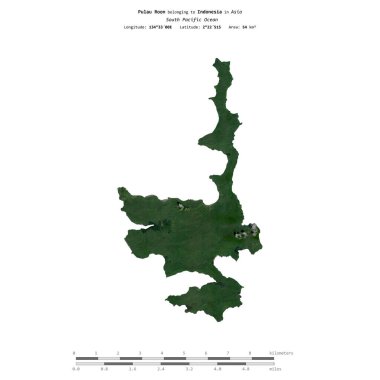 Endonezya 'ya ait Güney Pasifik Okyanusu' ndaki Pulau Roon, 21 Haziran 2019 'da çekilmiş bir uydu görüntüsüyle izole edilmiştir.