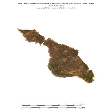 Amerika Birleşik Devletleri 'ne ait Kuzey Pasifik Okyanusu' ndaki Santa Catalina Adası, 12 Haziran 2021 'de çekilmiş bir uydu görüntüsüyle izole edilmiştir.