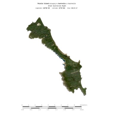Avustralya 'ya ait Büyük Avustralya Körfezi' ndeki Thistle Adası, 16 Haziran 2023 'te çekilmiş bir uydu görüntüsüyle izole edilmiştir.
