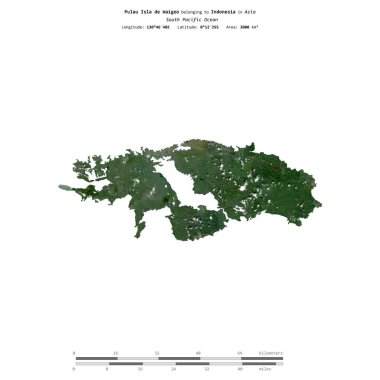 Endonezya 'ya ait Güney Pasifik Okyanusu' ndaki Pulau de Waigeo Adası, 13 Şubat 2023 'te çekilmiş bir uydu görüntüsüyle izole edilmiştir.