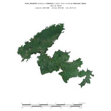 Endonezya Körfezi 'ndeki Pulau Waleakodi, 4 Eylül 2019' da çekilmiş bir uydu görüntüsüyle izole edildi.
