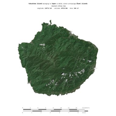 Japonya 'ya ait Doğu Çin Denizi' ndeki Yakushima Adası, 11 Mayıs 2020 'de çekilmiş bir uydu görüntüsüyle izole edilmiştir.
