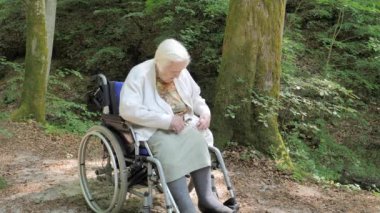 Yaşlı kadın rüzgârla savrulan çimlerden giysilerini temizliyor. Orman gezisi