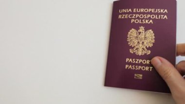Seyahat parası (Polonya zloti) ve Polonya pasaportu.