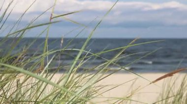 Sahil - Baltık Denizi - Kum tepelerinden denize manzara