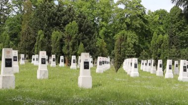 ELBLAG, POLAND - 21 Mayıs 2014: Polonya 'daki Sovyet askeri mezarlığı. Geçmiş.