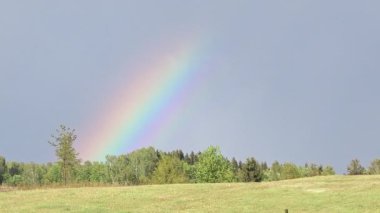 Gökkuşağının üstünde bir çayır