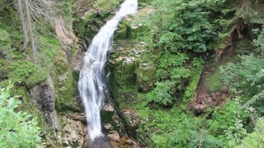 Büyülü Kamienczyk Şelalesi. Polonya