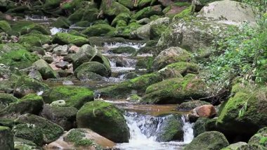 Ormanda yosunlu kayaları olan güzel büyülü dağ deresi.