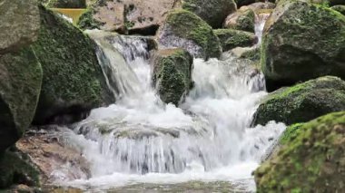 Yosunlu kayalar ile güzel dağ dere