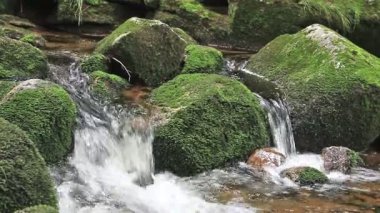 Yosunlu kayalar ile güzel dağ dere