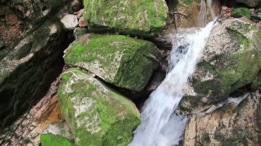 Yosunlu kayaları olan güzel bir dağ deresi. Kamienczyk geçidi