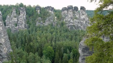 Bastei kayalıkları. Elbe Sandstone Dağları. Saxon Switzerland Ulusal Parkı Almanya