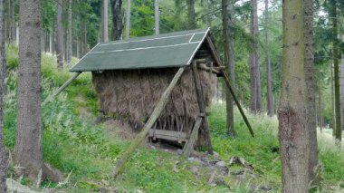 Vahşi hayvanlar ormanda beslenir. Geyik için Besleyici