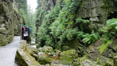 KARKONOSZE, POLAND - 2 Eylül 2014: Kamienczyk Vadisi. Polonya