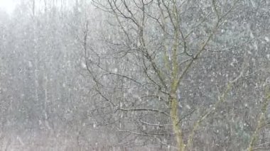 Düşen kar ağır çekim 