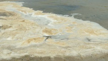 Su kirliliği. Bir plajda su kanalizasyon, pis, kirli