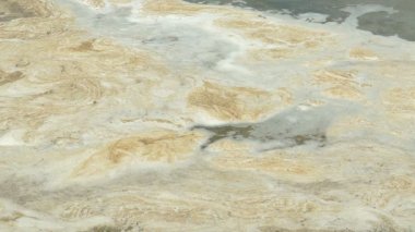 Su kirliliği. Bir plajda su kanalizasyon, pis, kirli