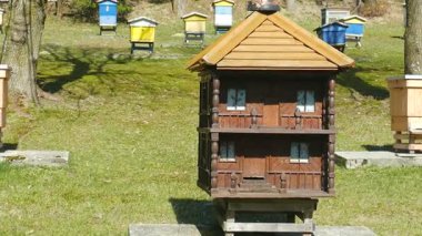 Ev şeklinde Olağandışı Arı kovanı