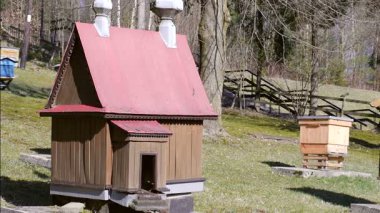 Eski ahşap kilise şeklinde Olağandışı Arı kovanı