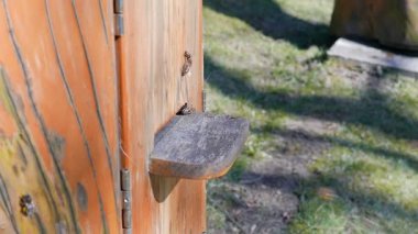 Arılar arı kovanına uçuyor. Çekimi uzaklaştırma