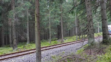 Izerska Demiryolu - Polonya ile Çek Cumhuriyeti arasında pitoresk bir demiryolu bağlantısı