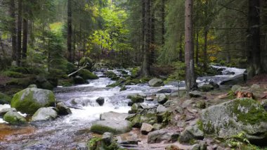Karkonoski Ulusal Parkı'ndaki güzel dağ deresi, Polonya