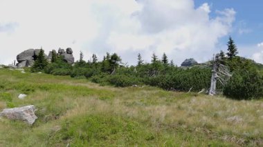 Szrenica Dağı ve Üç Domuz kayaları. Karkonosze/Krkonose dağları