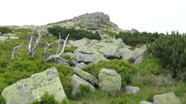 Kaya oluşumu Violik (Lehçe: Labski Szczyt). Karkonosze/Krkonose dağları