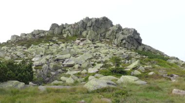 Kaya oluşumu Violik (Lehçe: Labski Szczyt). Karkonosze/Krkonose dağları