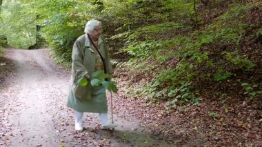 Yaşlı kadın bir orman parkında yürüyüş